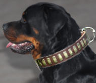 Rottweiler Gorgeous Wide Leather Dog Collar With Plates Rottweiler Gorgeous Wide Leather Dog Collar With Plates