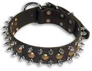 Studded Black collar 25'' for Rottweiler /25 inch dog collar-S55 Studded Black collar 25'' for Rottweiler /25 inch dog collar-S55