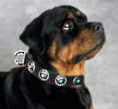 Rottweiler Dog Collar,leather dog collars,nylon dog collars,training dog collars with handle Rottweiler Dog Collars