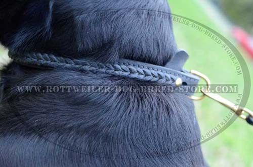 Durable dee Ring for Rottweiler Collar