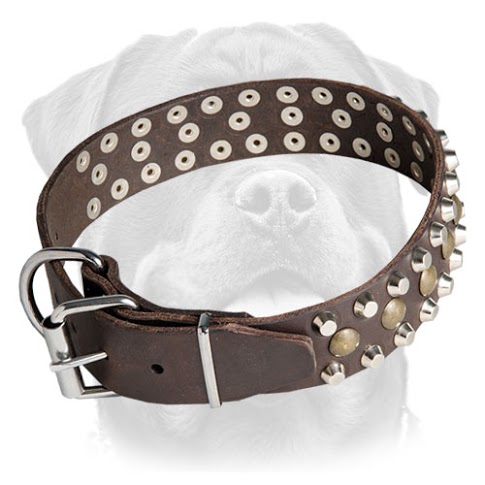 Studded Leather Dog Collar for     Rottweiler