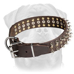 Leather Rottweiler collar of high quality     material