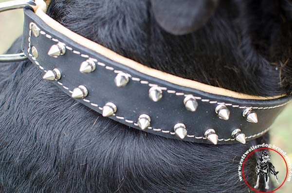 Non-scratching Rottweiler leather collar