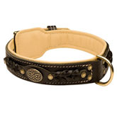 Royal Nappa Padded Hand Made Leather dog collar for Rottweiler
