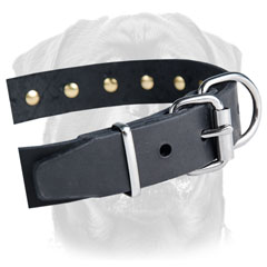 Buckle and D-ring for leash and tags - nickel-plated hardware