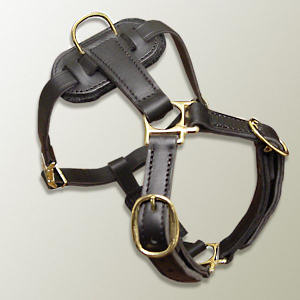 Rottweiler leather dog harness( handmade leather harness)