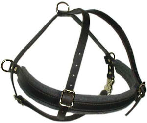 Rottweiler leather dog harness( handmade leather harness)