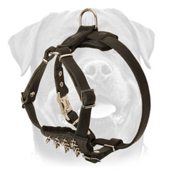 Rottweiler Leather Walking     Harness
