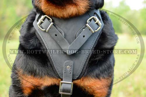 Finest Leather Dog Harness
