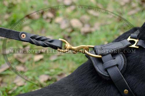 Fashion Leather Dog Harness