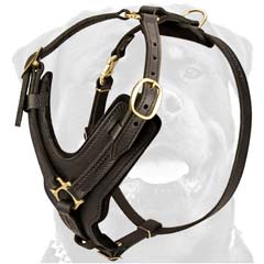 Top quality handmade dog harness