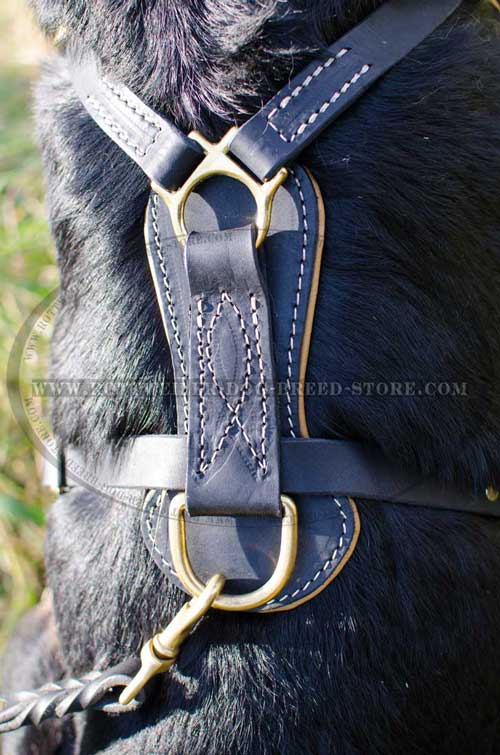 Stitched with Strong Threads Leather Dog Harness - Upper View