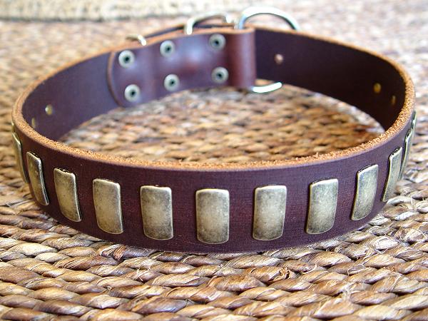 Best leather dog collar for Rottweiler 
