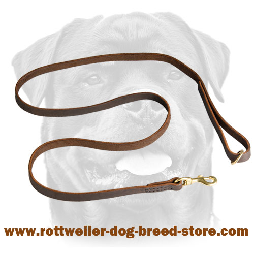 Leather Canine Leash for Management of Rottweiler
