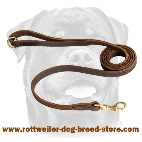 Leather Rottweiler Leash with Smooth Surface