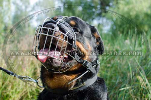 Metal Cage Wire Rottweiler Muzzle with Proper Ventilation