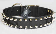 Black Nylon Spiked Dog Collar- 2 Rows of spikes- rotty collar Black Nylon Spiked Dog Collar- 2 Rows of spikes- rotty collar