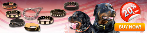 Safety Great Rottweiler Collars