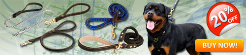 Most Demandable Rottweiler Leashes