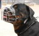 Rottweiler Dog Muzzles