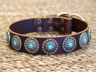 rottweiler dog collar