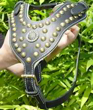 leather dog harness for rottweiler