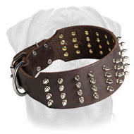 Dog collar spikes fashion inside