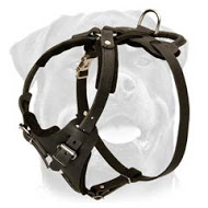 Rottweiler Agitation/ Protection Leather Harness Rottweiler Agitation/ Protection Leather Harness