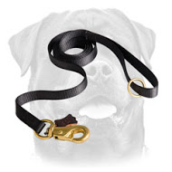 Order Nylon Rottweiler Leash, Brass Snap Hook