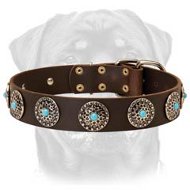RotteLeather Dog Collar & Silver Plated Circles Blue Stones RotteLeather Dog Collar & Silver Plated Circles Blue Stones