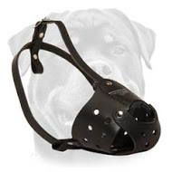 Everyday Rottweiler Leather dog muzzle Everyday Rottweiler Leather dog muzzle