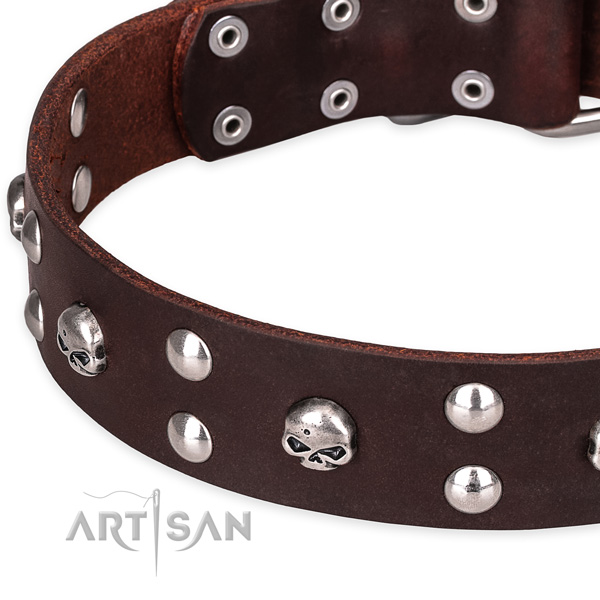 Everyday leather dog collar with stunning embellishments