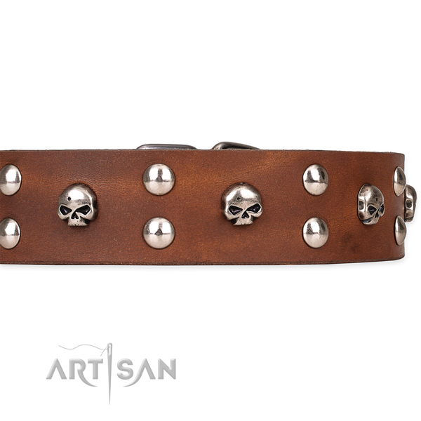 Full grain genuine leather dog collar with smooth finish