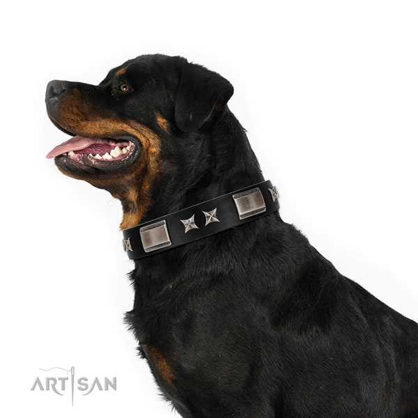 Comfy wearing best quality full grain genuine leather dog collar with embellishments