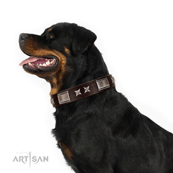 Adjustable collar of full grain leather for your attractive four-legged friend