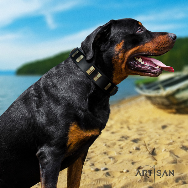 Rottweiler everyday use full grain leather collar for your attractive four-legged friend