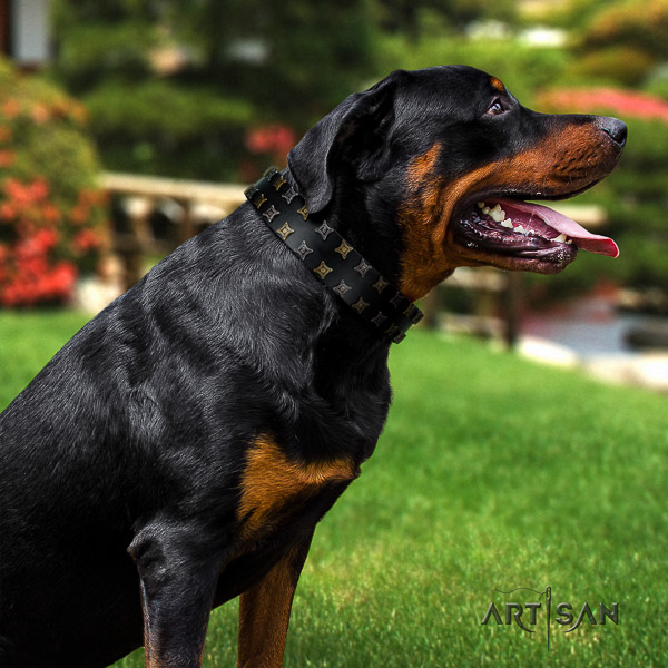 Rottweiler easy wearing full grain natural leather collar for your stylish canine