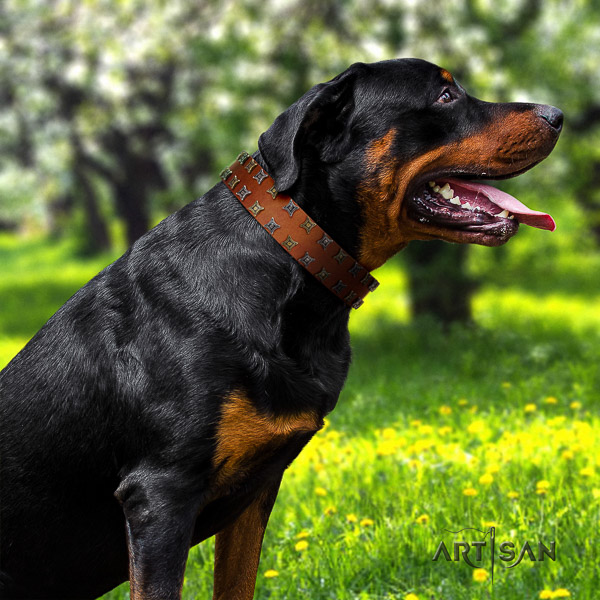 Rottweiler basic training full grain genuine leather collar for your handsome pet
