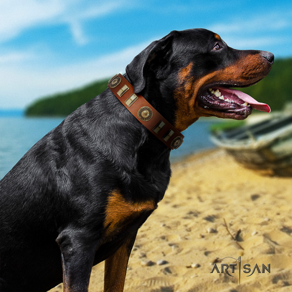 Rottweiler everyday use full grain genuine leather collar for your lovely dog