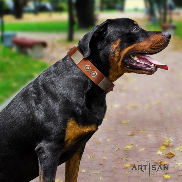 Rottweiler walking genuine leather collar for your lovely doggie