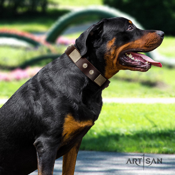 Rottweiler easy wearing leather collar for your impressive pet