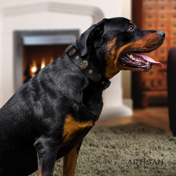 Rottweiler handy use natural leather collar for your lovely doggie