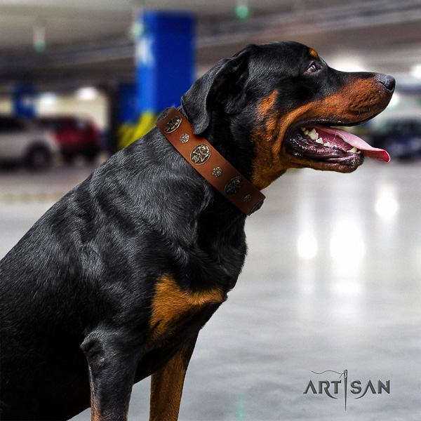 Rottweiler everyday walking genuine leather collar for your lovely four-legged friend