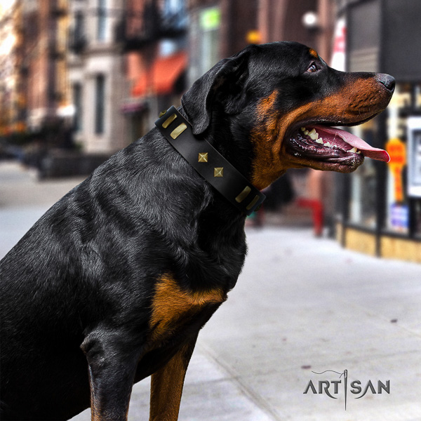 Rottweiler everyday use natural leather collar for your attractive pet