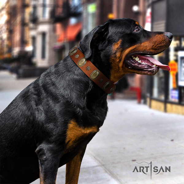 Rottweiler easy wearing genuine leather collar for your impressive four-legged friend