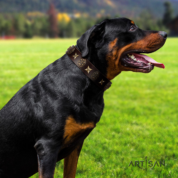 Rottweiler stylish walking natural leather collar for your handsome dog