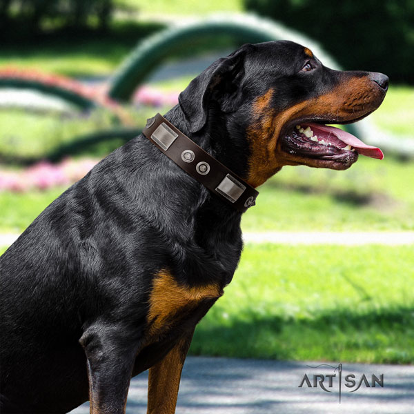 Rottweiler easy adjustable collar with unique embellishments for your pet