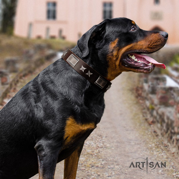 Rottweiler adjustable collar with inimitable studs for your pet