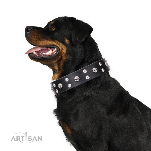 Rottweiler convenient genuine leather dog collar for walking