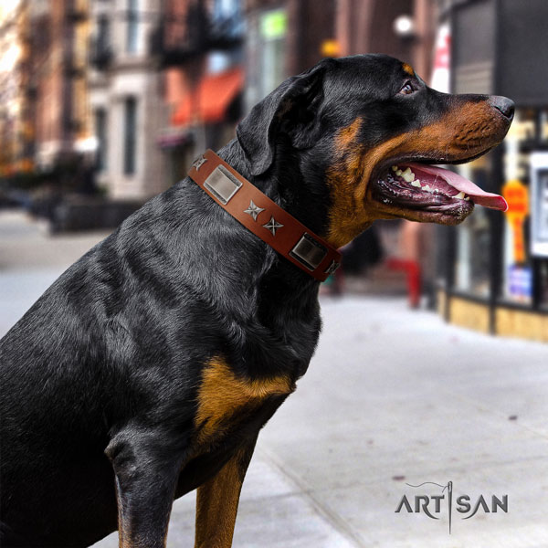 Rottweiler best quality collar with unusual embellishments for your pet
